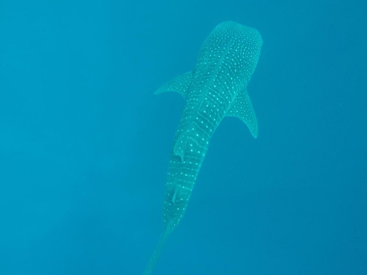 Vakarufalhi Maldives Dhangethi Εξωτερικό φωτογραφία
