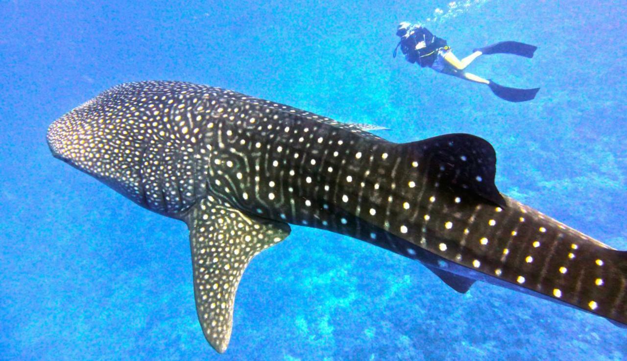 Vakarufalhi Maldives Dhangethi Εξωτερικό φωτογραφία