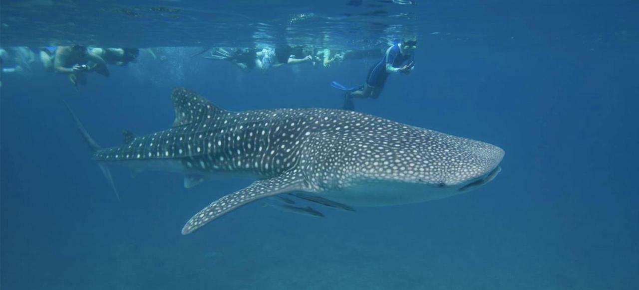 Vakarufalhi Maldives Dhangethi Εξωτερικό φωτογραφία